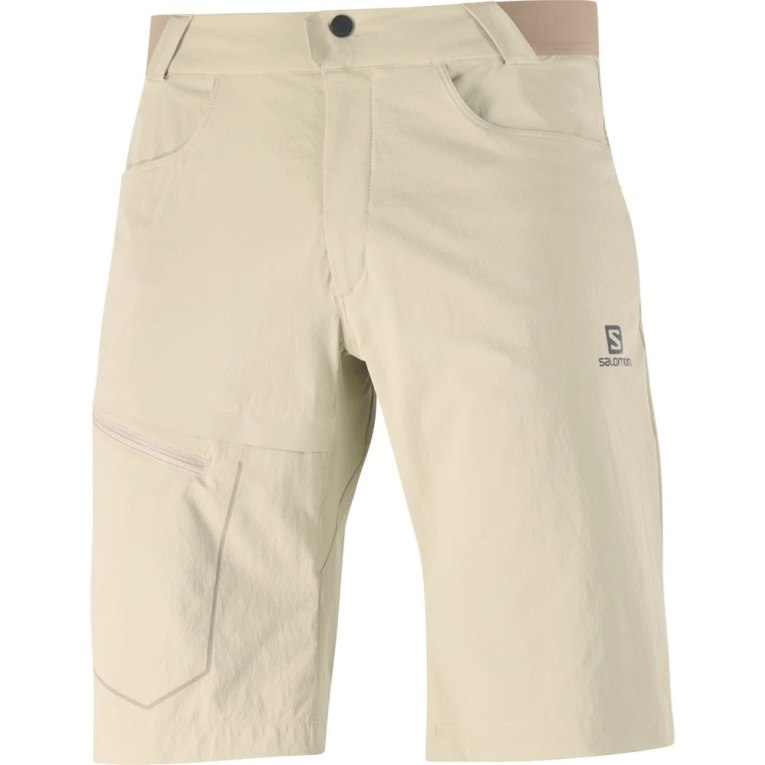 Bermudas Salomon Wayfarer Hombre Kaki | MX AGEI083